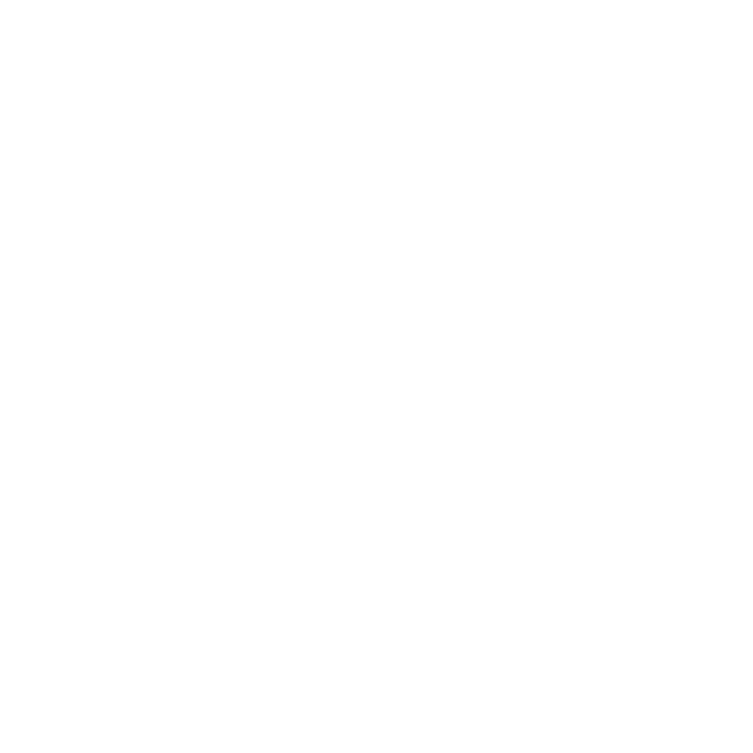 YNS Logo